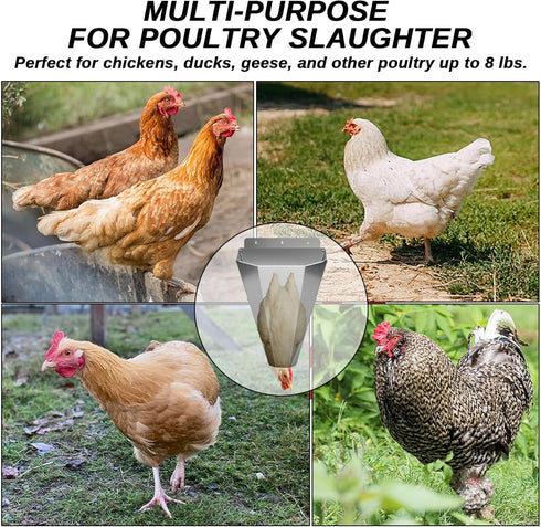 Bester 18 lbs, Large Chicken Cone for Butchering, Upgraded Thickened Stainless Steel Kill Cone, Flat-Back Killing Cone