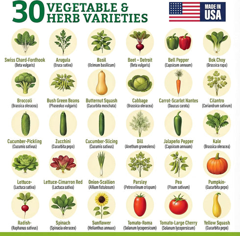 Pack 30 Culinary Vegetable & Herb Seeds Variety - Heirloom Non-GMO Garden Seeds for Planting, Seed Kit with Tools, Made