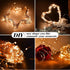 24 Pack 7ft 20 3 ZGWJ Halloween Fairy Lights Battery Operated, Mini LED Halloween Fairy String Lights Silver Wire Modes
