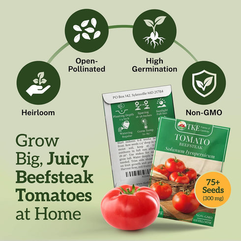 75+ TKE Farms & Gardens - Beefsteak Tomato Seeds for Planting, Heirloom Non-GMO Variety, Grow Large Juicy Slicing