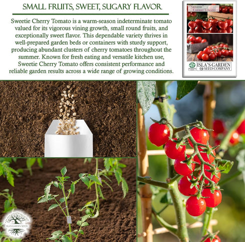 250+ Sweetie Cherry Tomato Seeds (Solanum lycopersicum) Non-GMO & Heirloom Seeds, Extra Sweet Flavor, Ideal