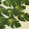 RECUTMS 20LED Monstera Leaf String Lights, Tropical Artificial Rattan Palm Leaves Wall