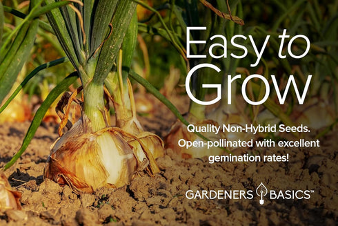 8 Summer, Gardeners Basics, Onion Seeds for Planting - Long and Short Day Varieties Yellow, Red, White, Sweet and Green