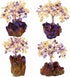 mookaitedecor Citrine & Amethyst Crystal Tree, Quartz Cluster Purple Titanium Crystals Base