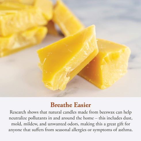 Candle by the Hour 48-Hour Refill, Eco-friendly Natural Beeswax, Cotton Wick