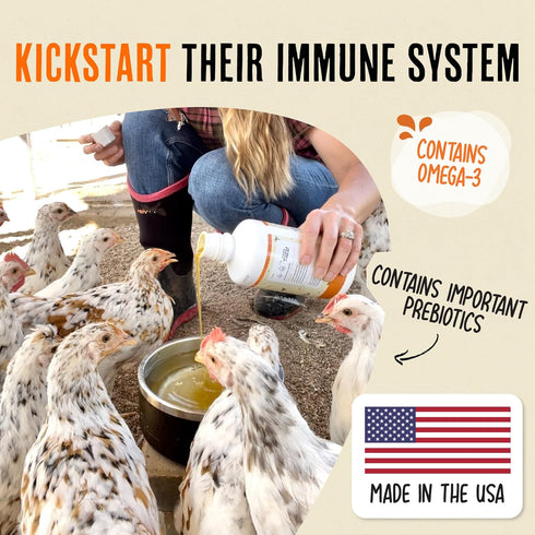 Immunity Omega-3 Roosty's Naturals Chicken & Digestion Booster | Chicken Digestion Supplements | Vitamins