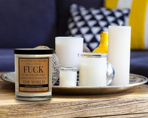 Fun Gifts Candles for Women | My Entire Vocabulary On A Candle | Scented Candle for BFF, Girlfriend, Boyfriend, and