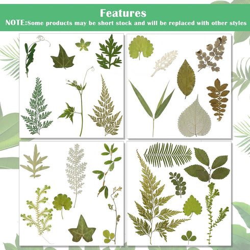 Timtin 84 Pieces Dried Pressed Leaves Flowers for Crafts, Mini Dried Flowers for Art DIY Handmade Bookmarks