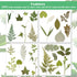 Timtin 84 Pieces Dried Pressed Leaves Flowers for Crafts, Mini Dried Flowers for Art DIY Handmade Bookmarks