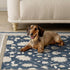 EVERGRACE 2x3 Area Rugs for Entryway, Boho Floral Faux Wool Indoor Outdoor Small Washable Rugs for Home Decor