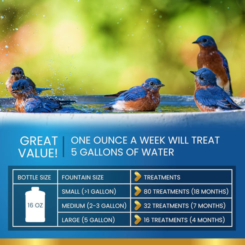 (32oz) ADIOS! Bird Bath Cleaner for Outdoor Fountains and Bowls, Safely Cleans Metal, Glass and Stone