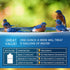 (32oz) ADIOS! Bird Bath Cleaner for Outdoor Fountains and Bowls, Safely Cleans Metal, Glass and Stone