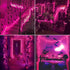 Purple Halloween Lights Outdoor, 50 Count Waterproof Fairy Lights for Holiday Decorations