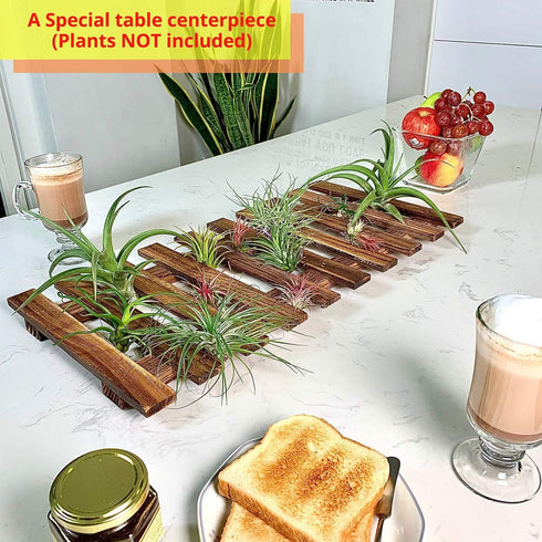 60cm (23.6") ShopLaLa Wall Planter - Wooden Hanging Planter for Indoor Plants, Plant Stand, Air Plant Succulent Holder