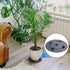 LFUTARI 6 12inch (30cm-6pcs, PCS Plant Level Pot Elevator, Plant Stands, Plant Pot Saucer for Prevent Rot and Damage on