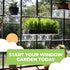 Window Garden Replacement Suction Cups, 12 Clear Large Super Strong Suckers for Glass Surfaces