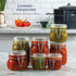 Bormioli Rocco Fido Clear Glass Jar with 85 mm Gasket, 0.5 Liter, Pack of 2