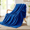 Whale Flotilla Flannel Fleece Throw Blanket, Soft Velvet Lightweight Plush Chevron Design, 50x60 Inch, Royal Blue