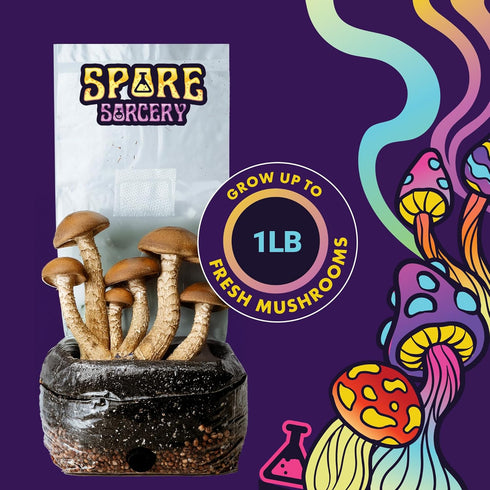 2 LB 16oz SPORE SORCERY All-in-One Grow Bag: Up to of Mushrooms! Nutrient-Enhanced, Injection Port, Just Add Your Own