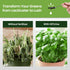 HiThrive 16oz 24 Liquid Fertilizer for Vegetable Garden Makes Gallons of Garden Fertilizer for Outdoor Vegetables