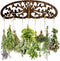 MOASIOP Herb Drying Rack - Wall Mounted Tree Design Holds 11 Bouquets, Space
