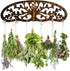 MOASIOP Herb Drying Rack - Wall Mounted Tree Design Holds 11 Bouquets, Space