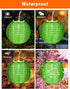 FIALAME in,13.12ft 100 20 Lanterns,Remote,8 Multicolor Paper Lantern String Lights Plug LED Twinkle Curtain String