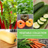 12 Pack Vegetable Seed Variety for Planting - Heirloom Broccoli, Carrot, Basil, Lettuce, Onion, Pepper, Swiss Chard