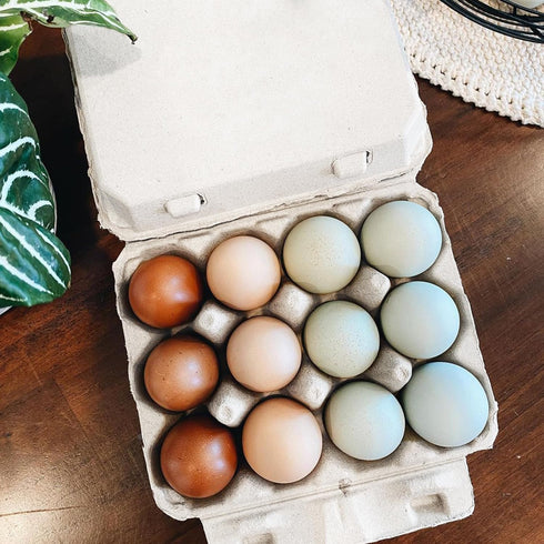 12 3x4 Packaging 25 Pack Vintage Egg Cartons for Large Eggs Classic Layout Durable Recycled Cardboard Farmhouse Style