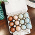 12 3x4 Packaging 25 Pack Vintage Egg Cartons for Large Eggs Classic Layout Durable Recycled Cardboard Farmhouse Style