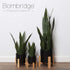 1 Pack) Bornbridge Artificial Snake Plant with Mid Century Plant Stand - Sansevieria Plant in Modern Planter