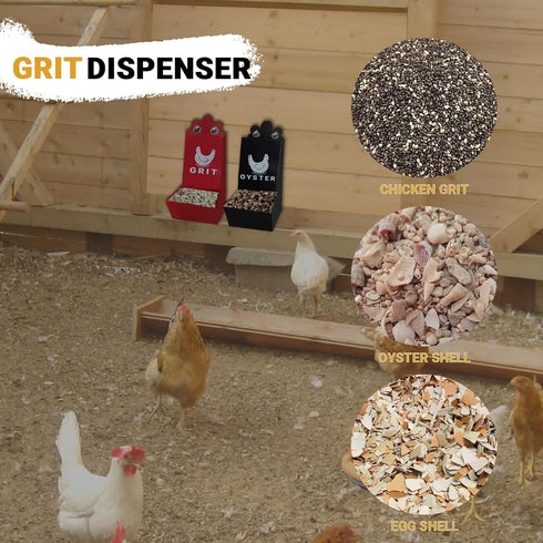 POIET Chicken Oyster Shell Feeder and Grit Feeder Metal Chicken Feeder Chicken coop Accessories Automatic Chicken
