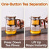 27 oz (800 ml) Enchanted Tea Pot, Magic Tea Pot for Loose Leaf Tea Steeper, Heat Resistant Borosilicate Glass Teapot