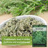 Packet (1) Sow Right Seeds - Mugwort Seeds for Planting - Non-GMO Heirloom with Instructions to Plant an Outdoor