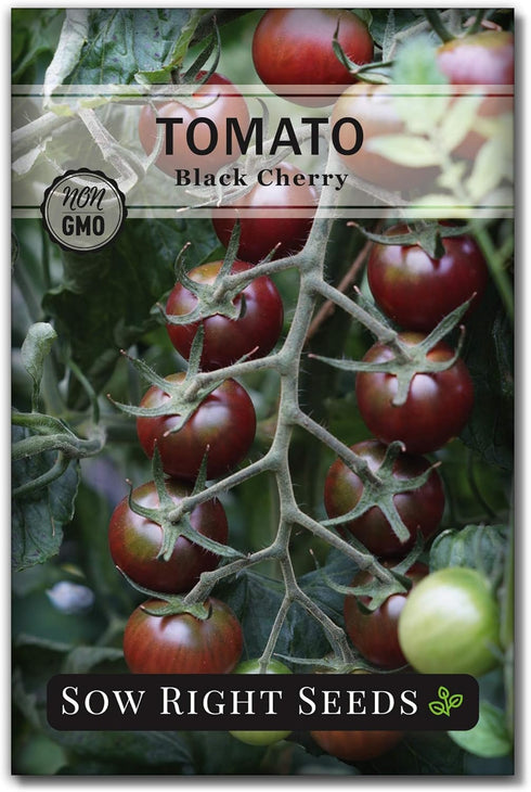 Sow Right Seeds - Black Cherry Tomato Seeds for Planting - Non-GMO