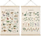 HRQKO Dinosaur Alphabet Poster Hanger Frame Set of 2, Dinosaur Wall Decor,