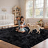 Xafir 4x6 4'x6') Area Rug for Living Room:Ultra Soft Fluffy Shag Black Rugs,Large Fuzzy Plush Indoor Non Slip Carpet