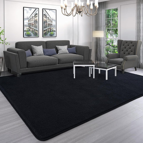 AROGAN 4x6 Feet Modern Shag Area Rug for Bedroom, Plush Memory Foam Bedside Rug, Washable Indoor Carpet Decor, Black