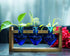 3-Heart Kingbuy Plant Terrarium Kit with Vintage Wood Stand - Stained Glass Vase Propagation Station, Wall-Mounted