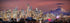 PHOTOSBYJON Seattle Skyline 2020 UNFRAMED Photo Print, Dusk Color City Downtown, 11.75 x 36 inches