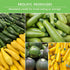 Summer Survival Garden Seeds Zucchini & Squash Collection Seed Vault - Non-GMO Heirloom Seeds for Planting Vegetables
