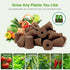 MEYCEMT 50 Pack, Hydroponic Growing Sponges Universal Fit Sponges & Seed Pods for Starting Seeds, Indoor Outdoor Garden