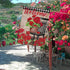 Welcome Spring Geranium Red Flower Decorative House Flag, Black White Buffalo Plaid Floral Pot Chair Garden Decor 28x40