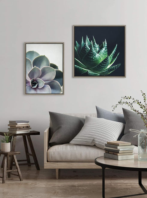 Kate and Laurel Sylvie Succulent 5 Framed Canvas by F2 Images, 18x24 in Gray
