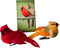 Westmon Works Cardinal Decor Set with Clip, Male and Female Love Bird Cardinals with Story Card