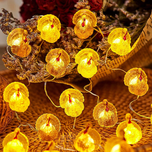 3D 8ft 20 JASHIKA Fall Harvest Turkey String Lights, Cute Decorative Lights Copper Wire LEDs Battery Powered