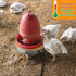 3 Gallons(11 inch), 125W Poultry Chicken Water Heater: Chicken Water Heater Base for Winter, for Plastic/Metal Poultry