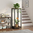2 (2 Plant Stand Indoor Corner Tall Tier Metal Modern Flower Storage Plant Shelf Holder for Living Room Balcony