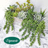 Meiliy 4pcs Faux Succulent Plants Hanging String of Pearls Plant for Home, Kitchen, Office, Wedding, Garden, Craft Art