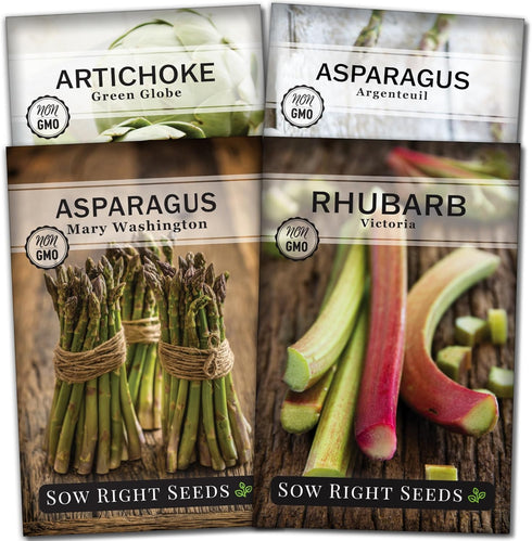 Sow Right Seeds - Perennial Vegetable Seed Collection for Planting - Artichoke,
